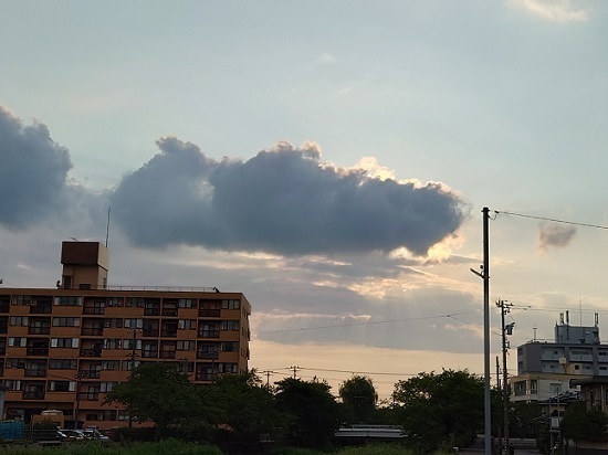 DSC_0040.JPG