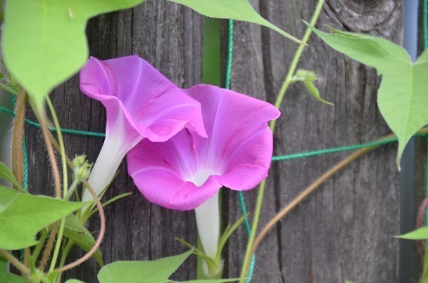 DSC_5847.JPG